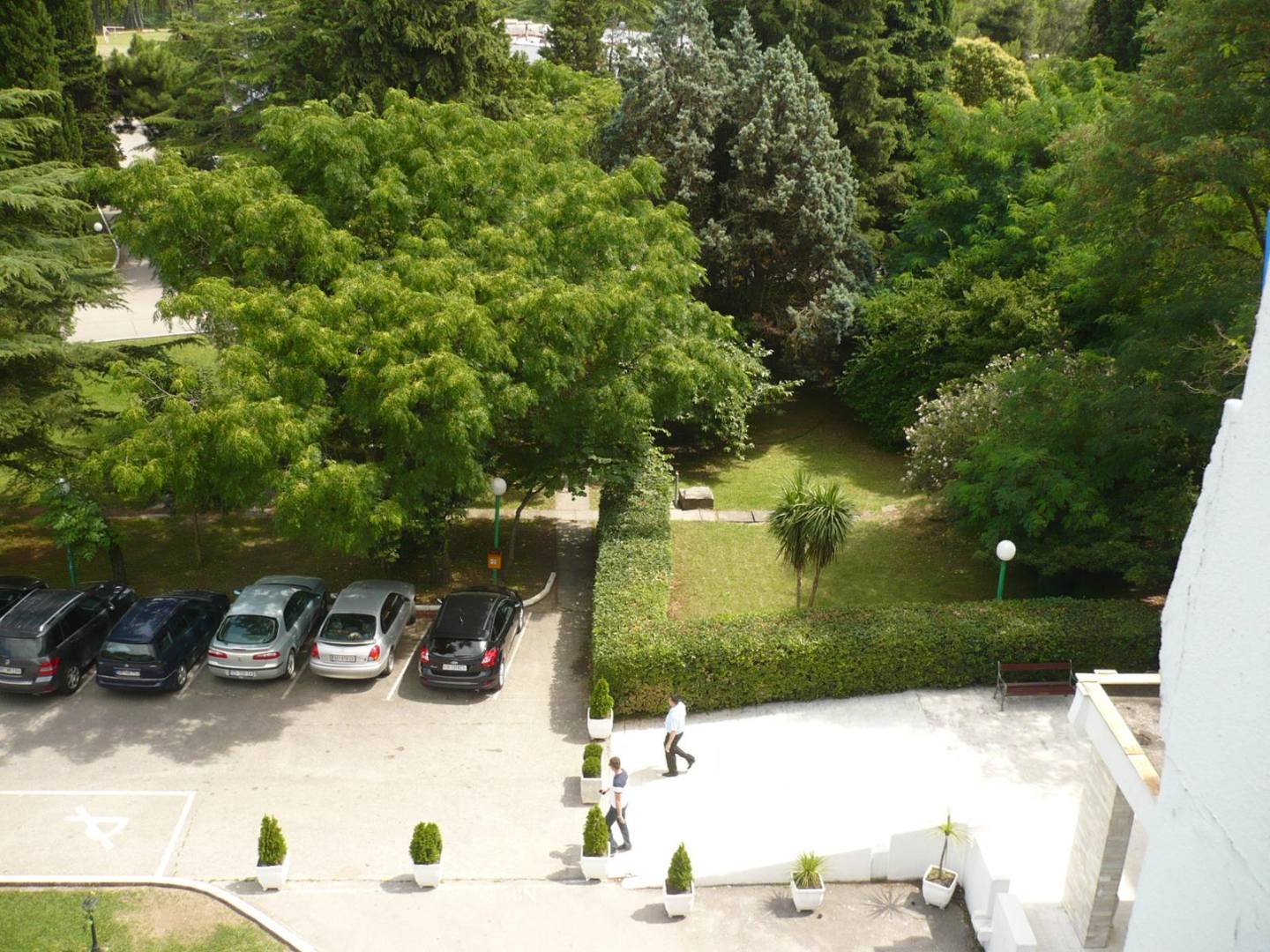 super dovča