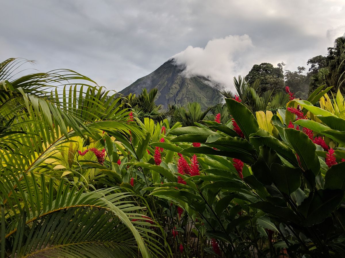 Vulkán Arenal v Kostarice obklopený hustou tropickou vegetací a květy, vrchol zahalený mraky