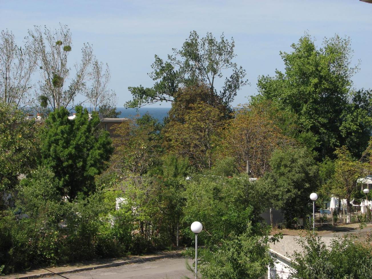 Achtopol