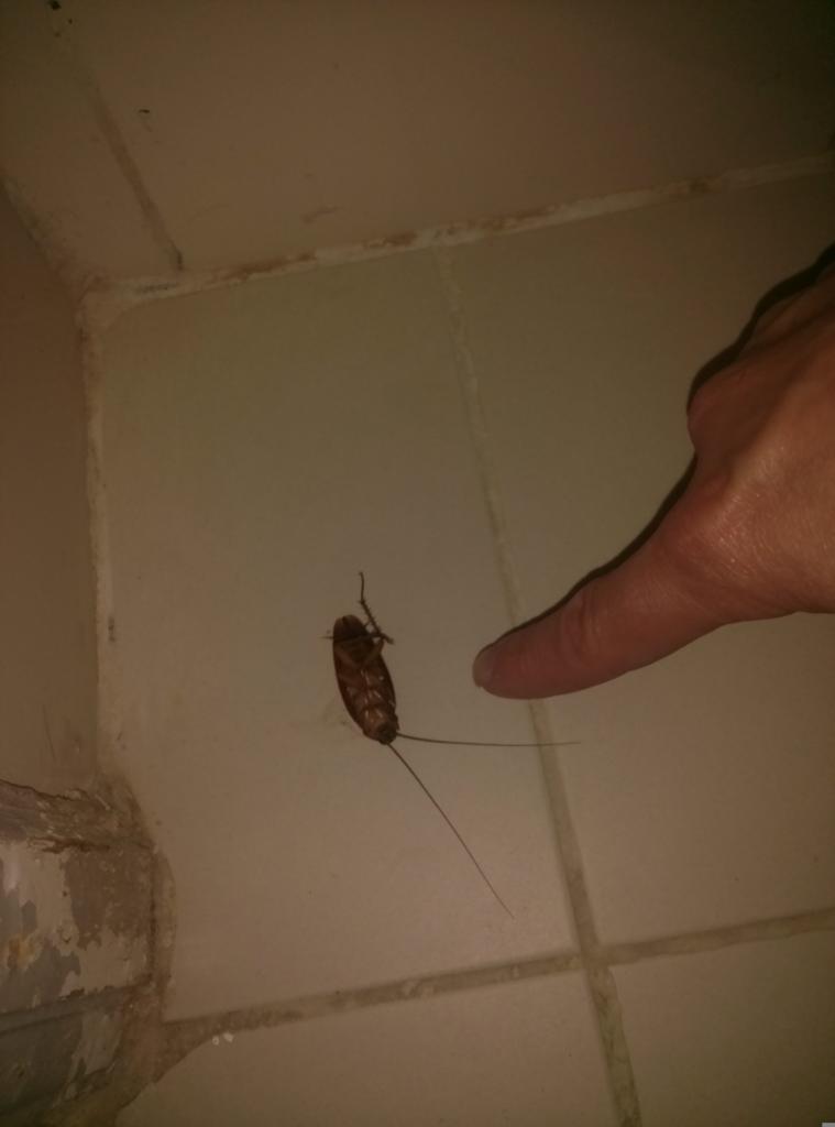 Hotel má pro i proti