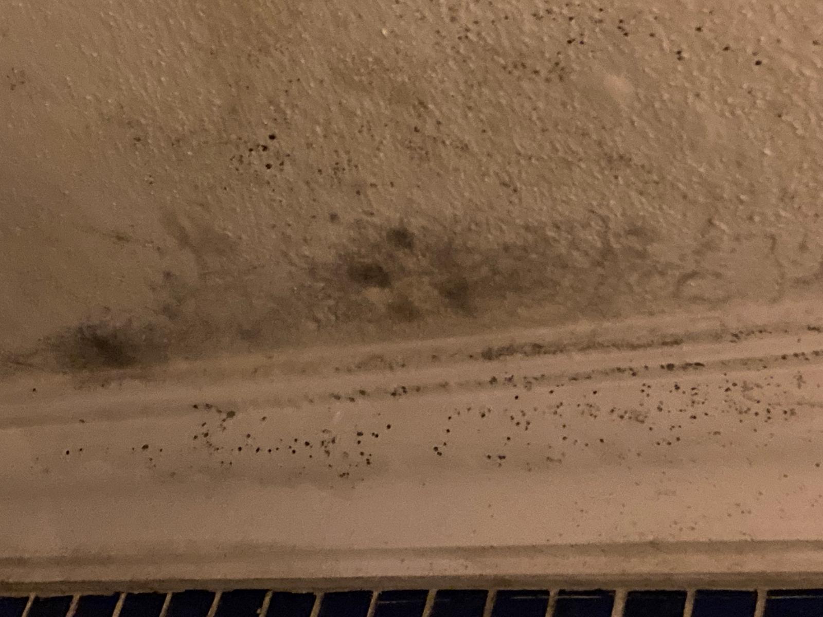 Hotel YELKEN v Turgutreis nedoporučuji !