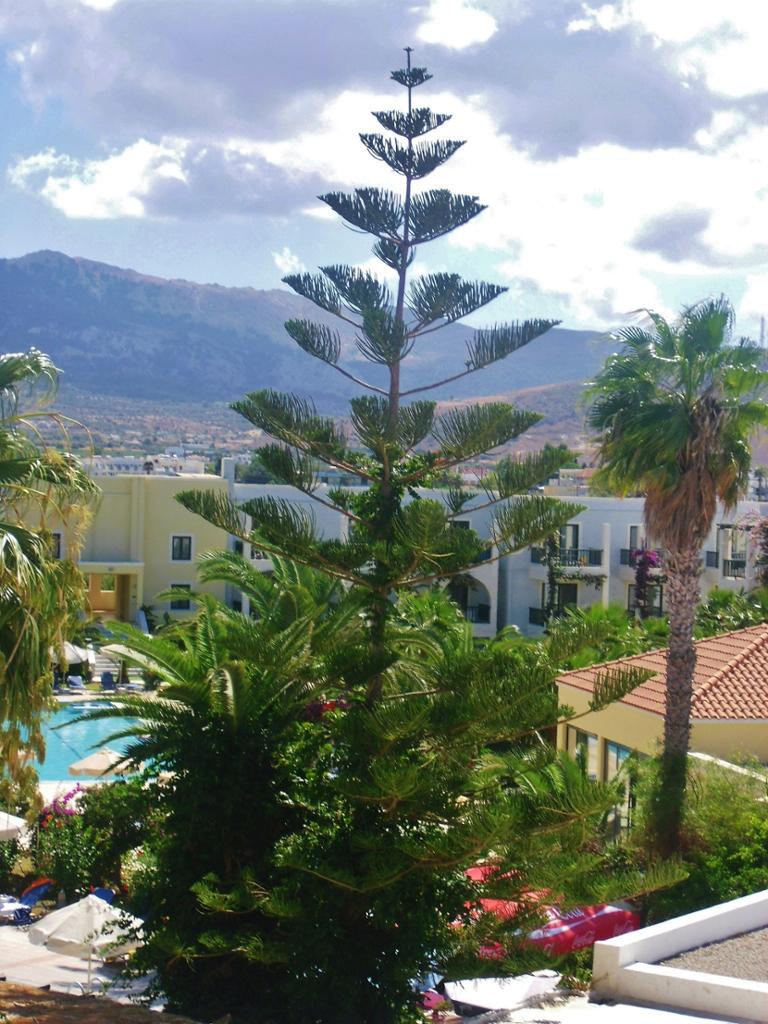 Hotel Tigaki Beach