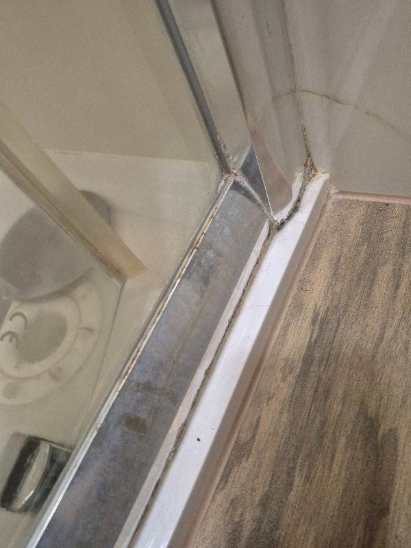 Ubytovanie v inej izbe.Pleseň a špina!