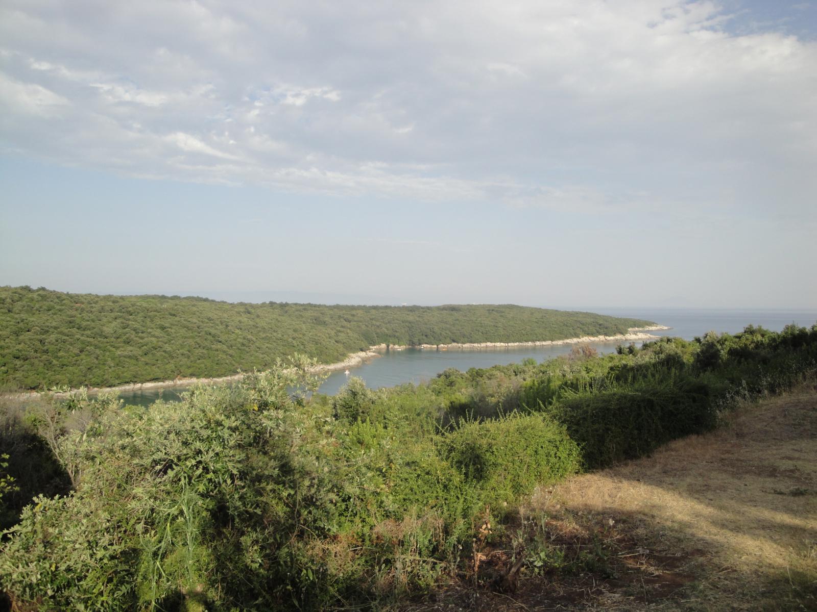 Dovča