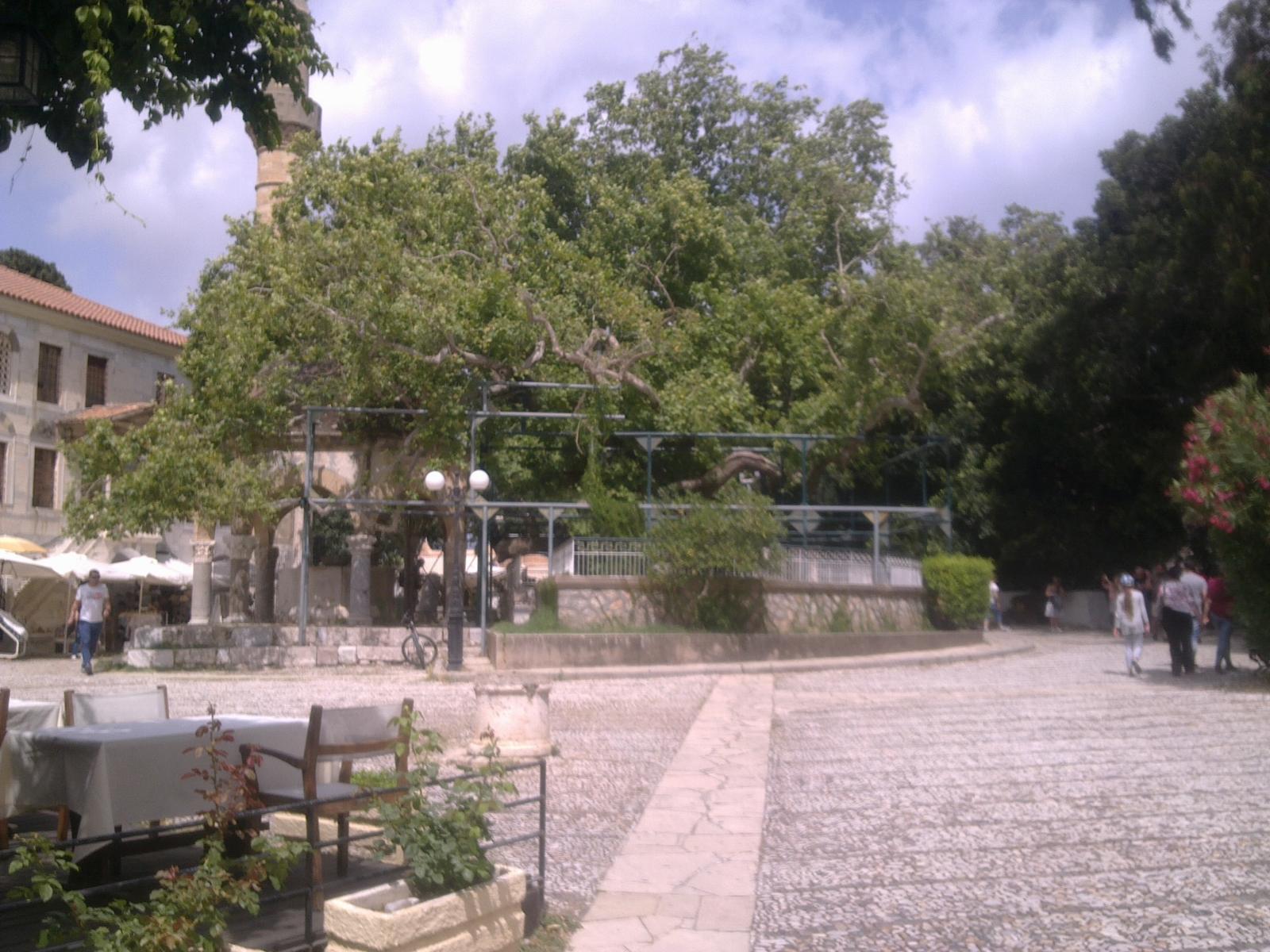 Paráda