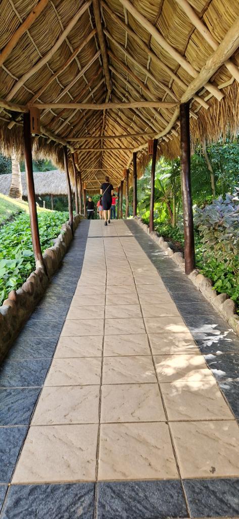 Prehliadka hotela GRAND PALLADIUM VALLARTA RESORT & SPA