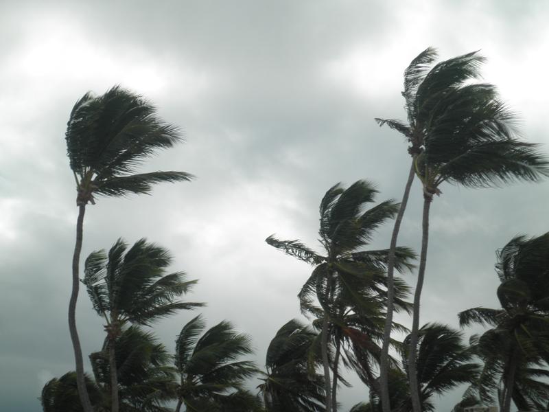 Dovolená - Punta Cana