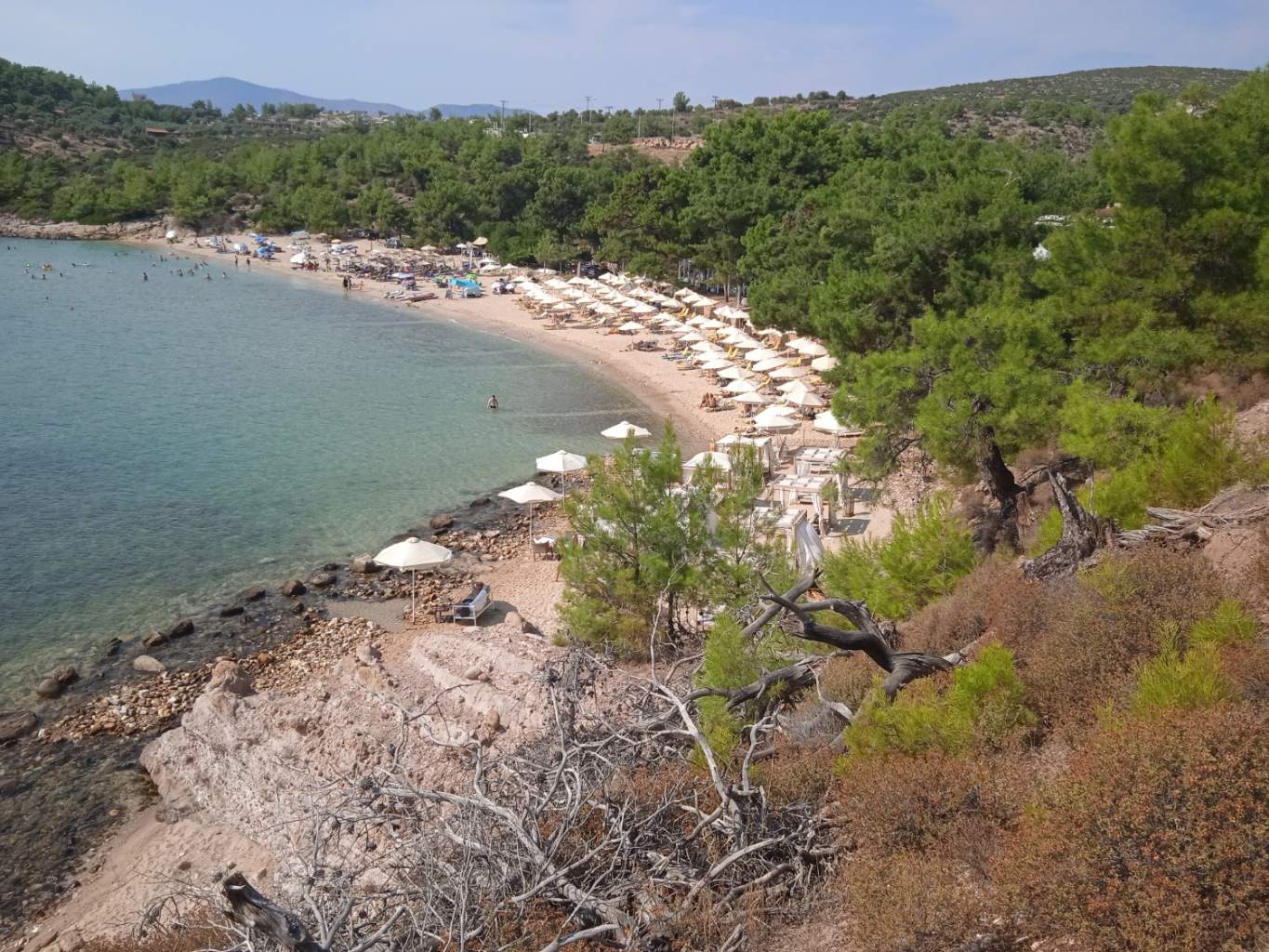 Thassos 2026