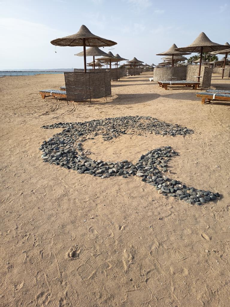 Wadi Lahmy resort