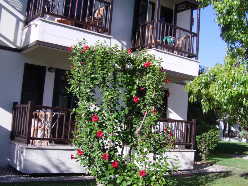 Na hotel 5* bída
