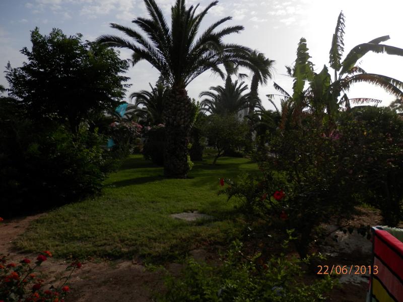 21.6.-28.6. Tunisko