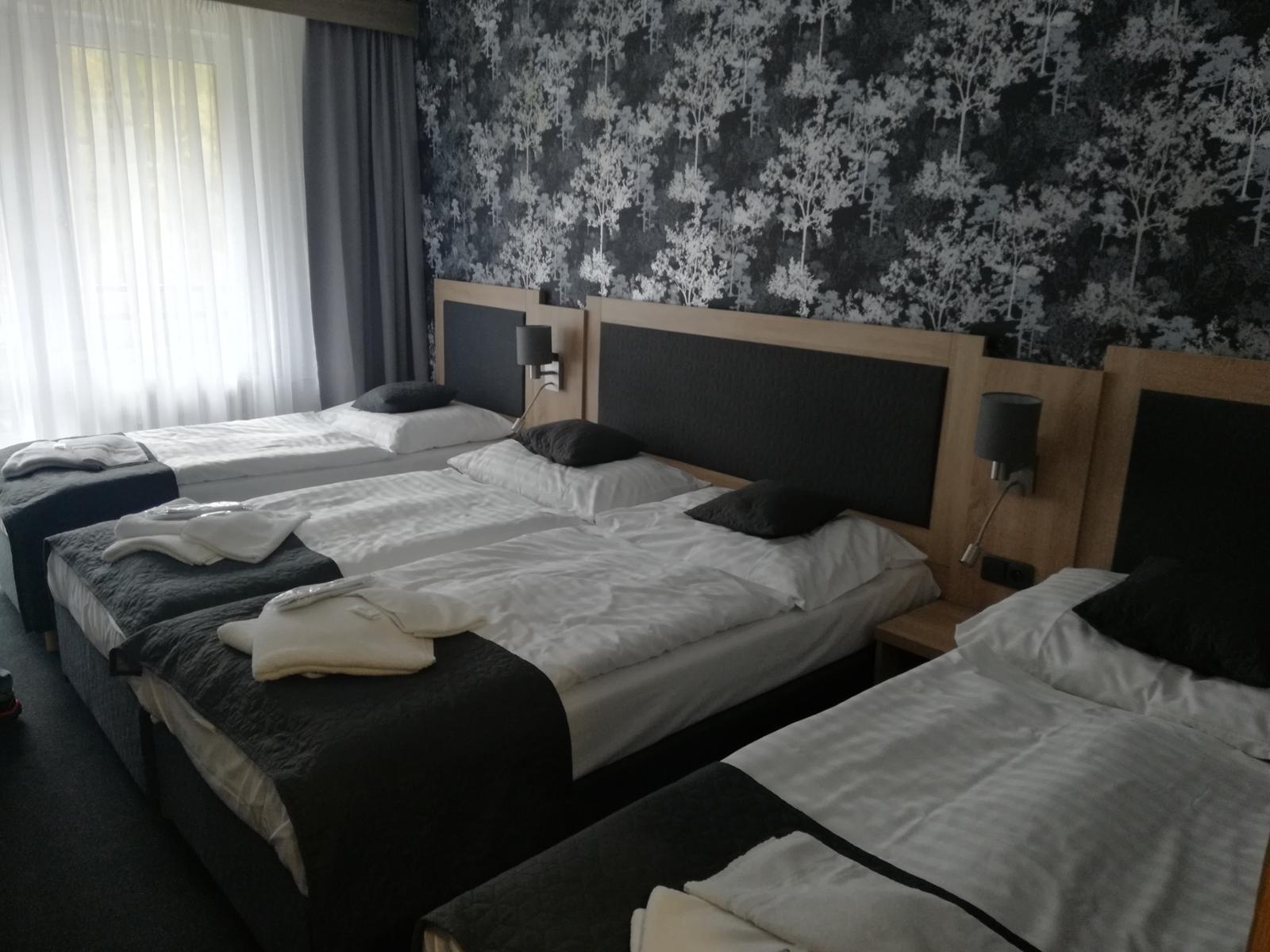 Kamzík