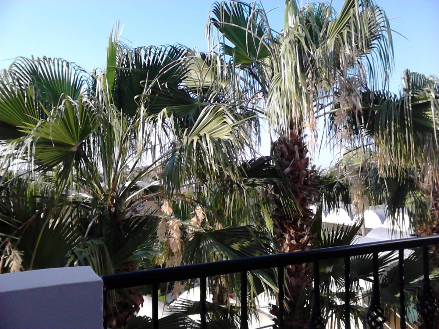 Hotel Nesrine