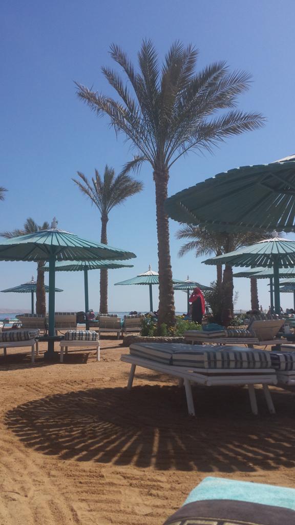 Le Pacha...