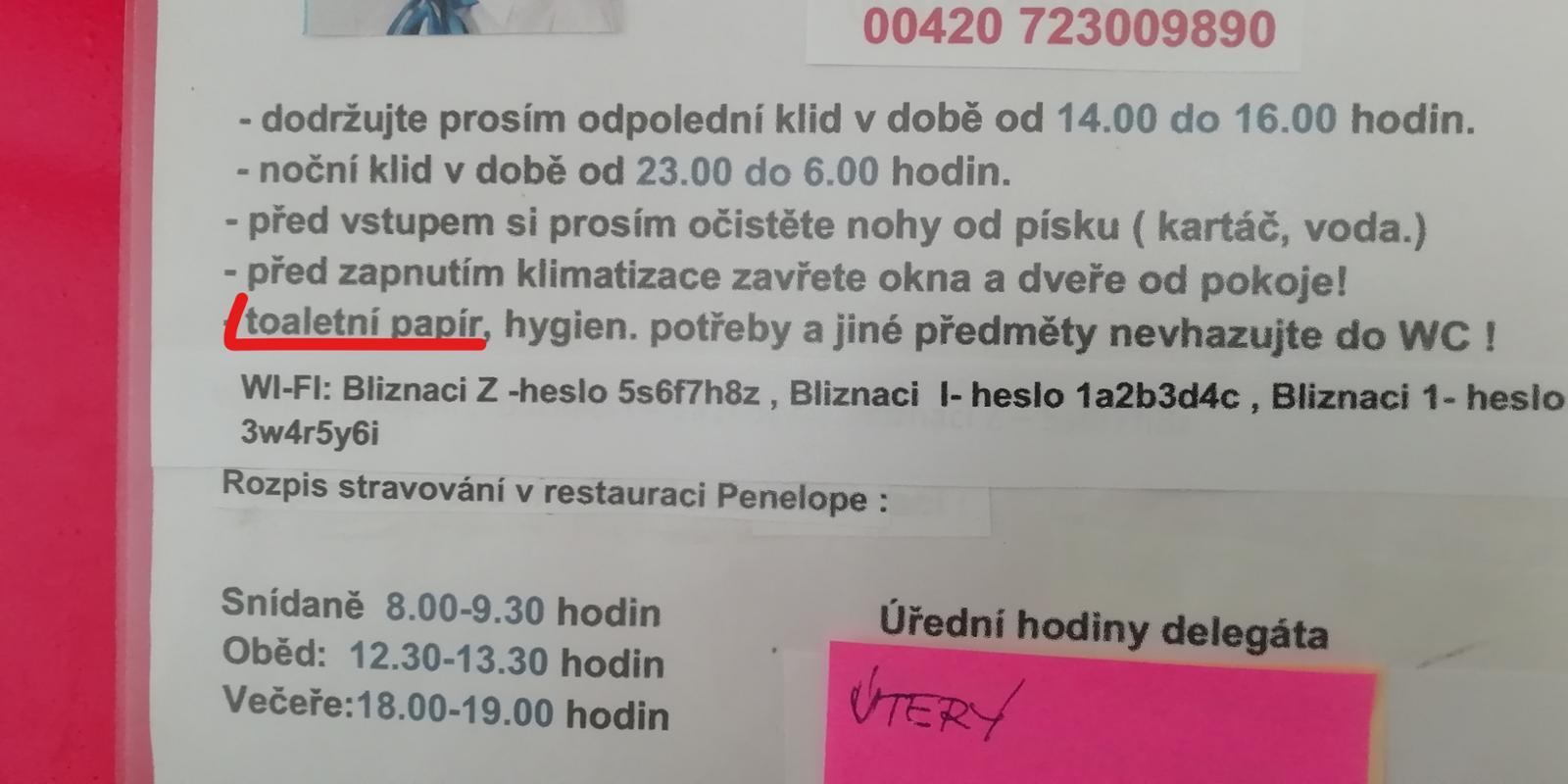 Blíženci 