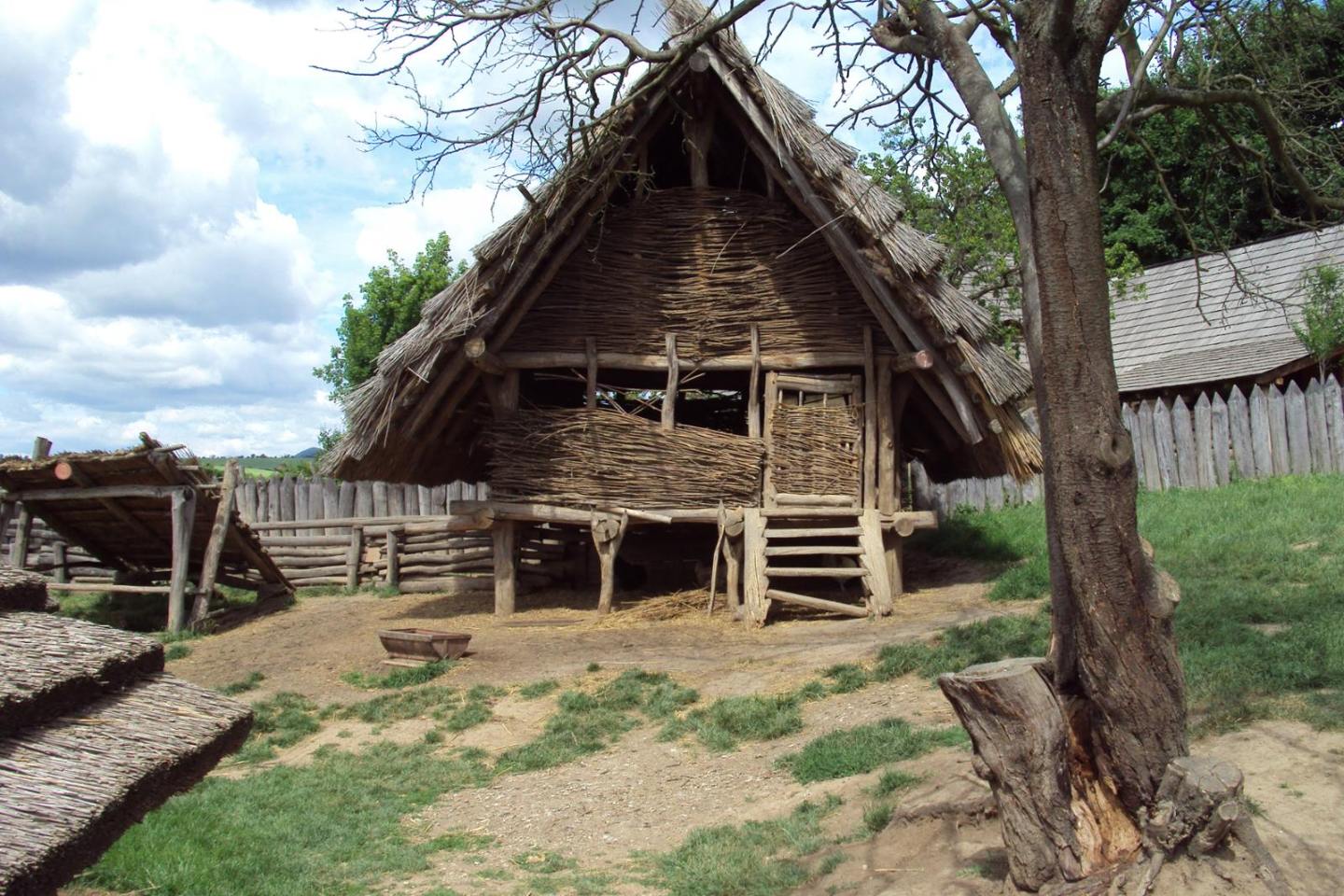 Poděkování