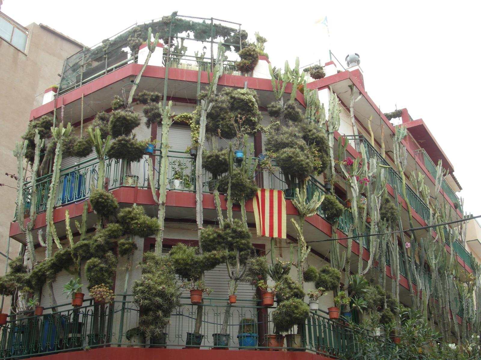 Calella Miami