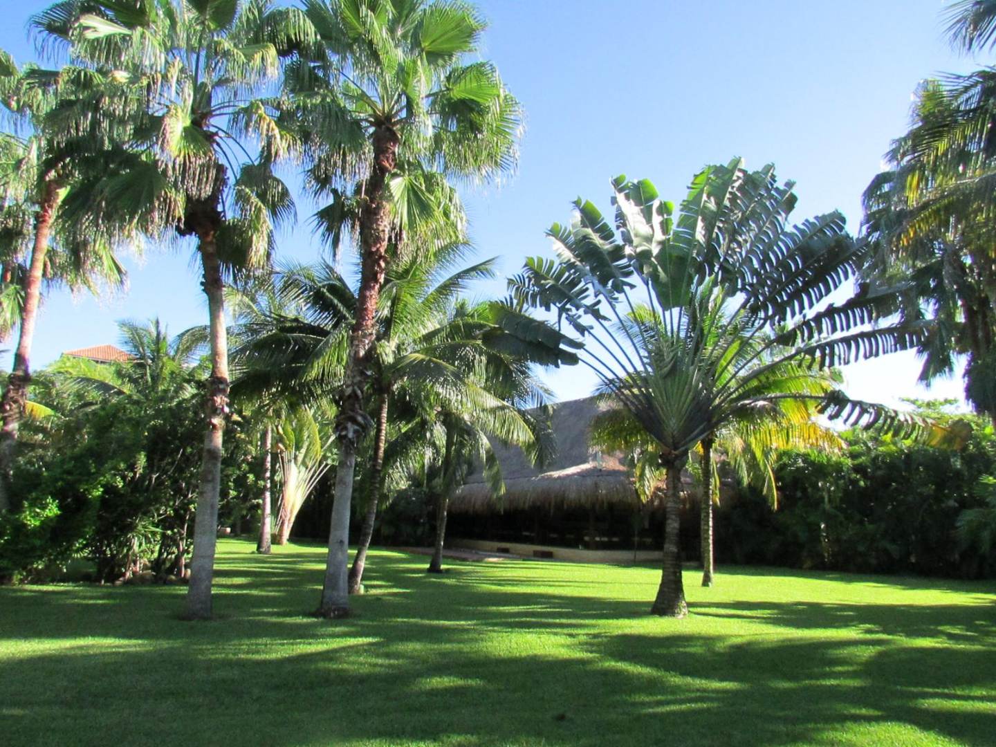Hotel Esencia Tulum
