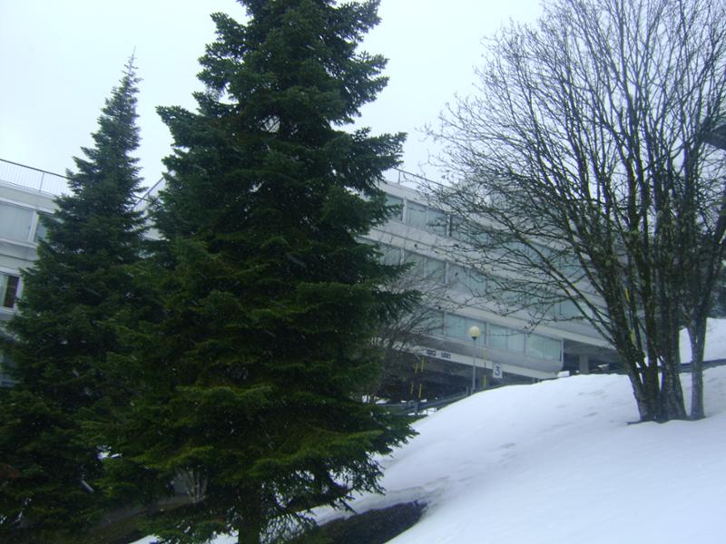 Prohlídka hotelu Solaria