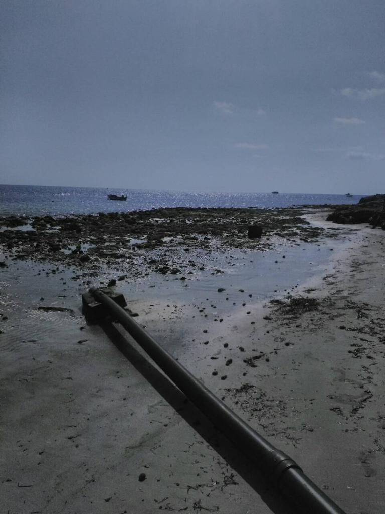 Děs a hnus