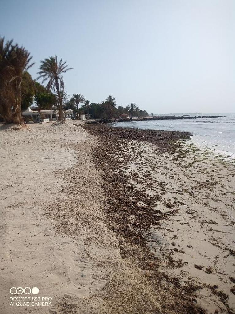 Hotel HARI CLUB BEACH RESORT