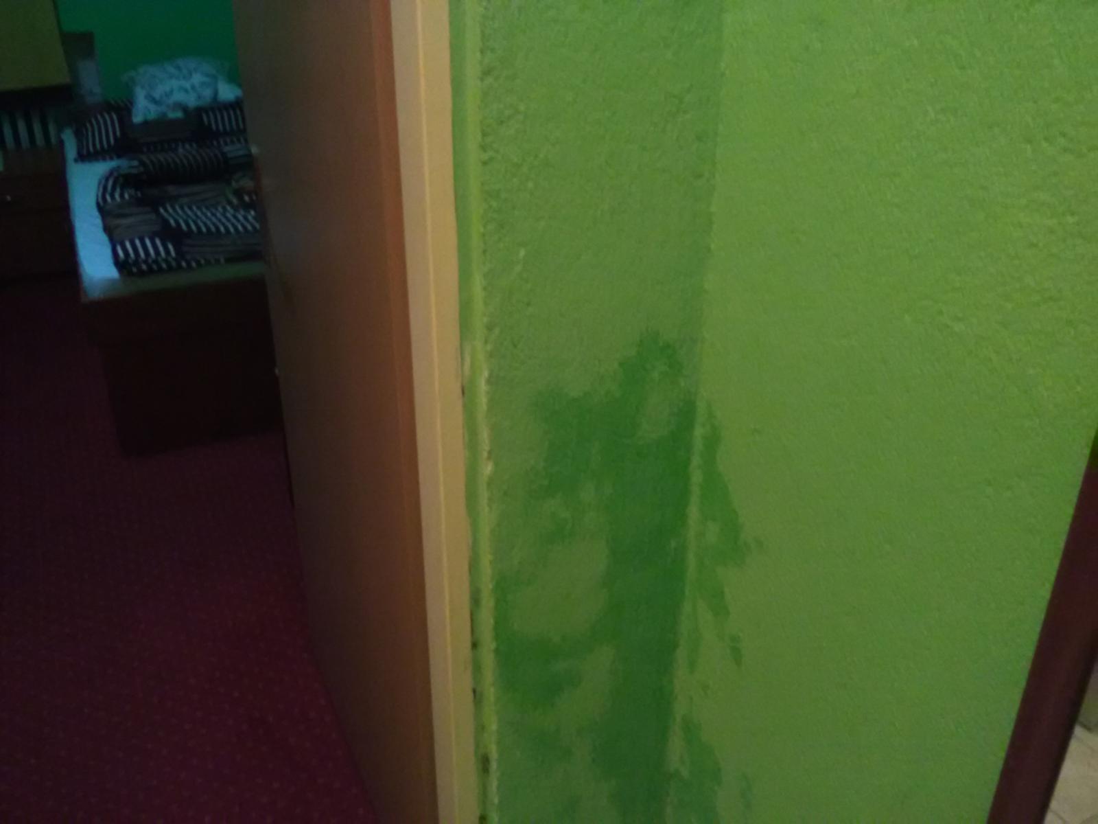 Plíseň ,netekla voda a nevrátili peníze 