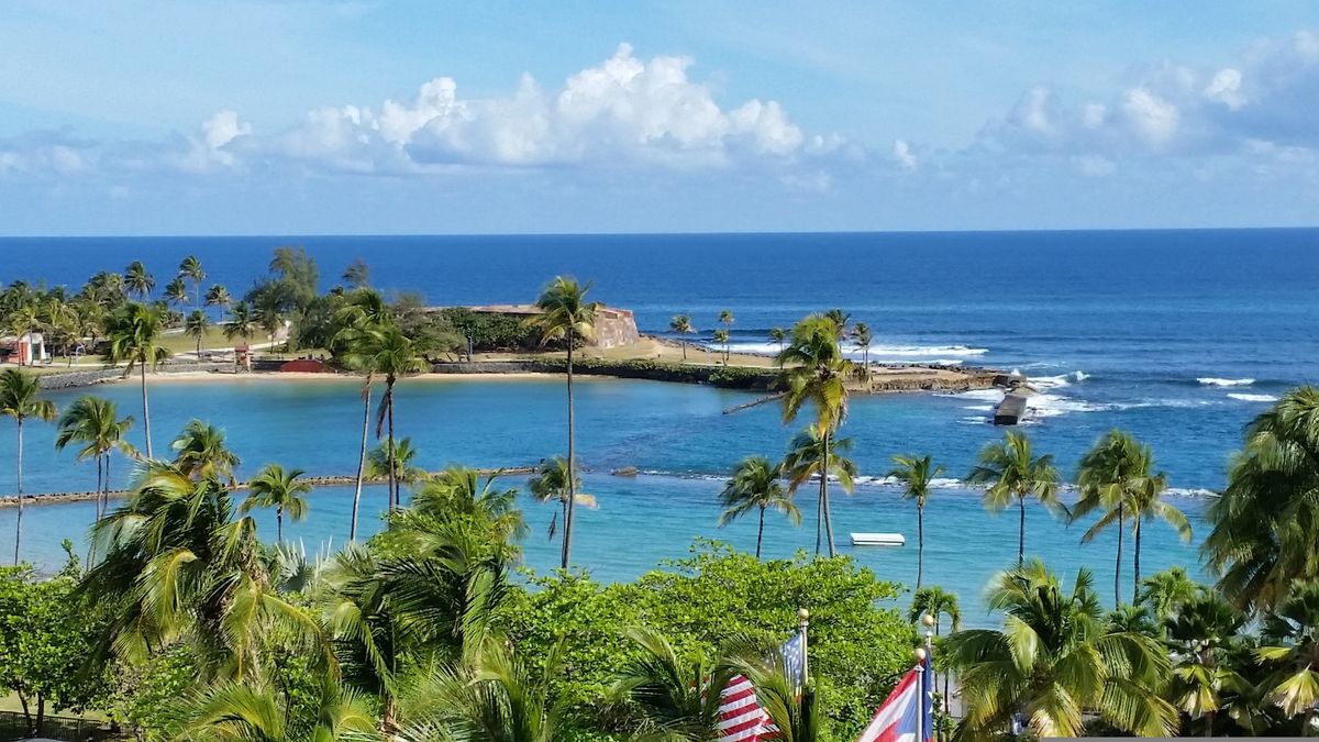 Pohled na zelenou pobřežní oblast s palmami a modrou vodou v San Juan, Puerto Rico s historickou pevností v pozadí.