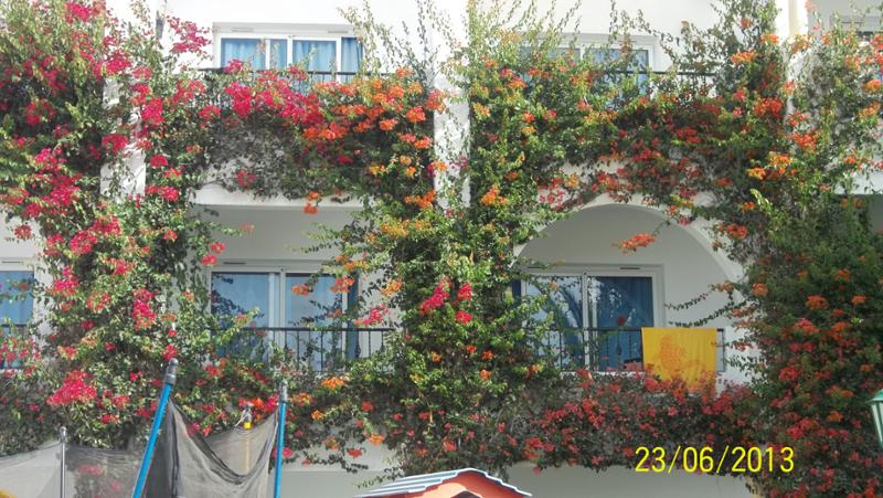 Hotel Nesrine