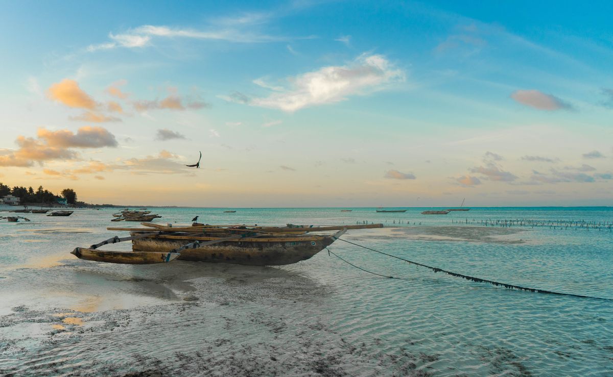 Tradiční dřevěné loďky na písčité pláži u Indického oceánu v Tanzanii za svítání.