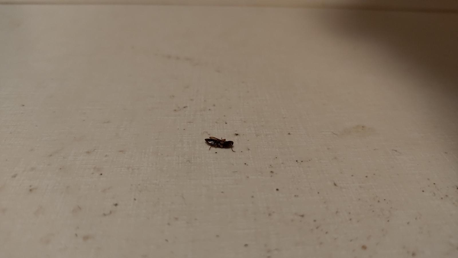 Příjemný hotel s ochotným personálem